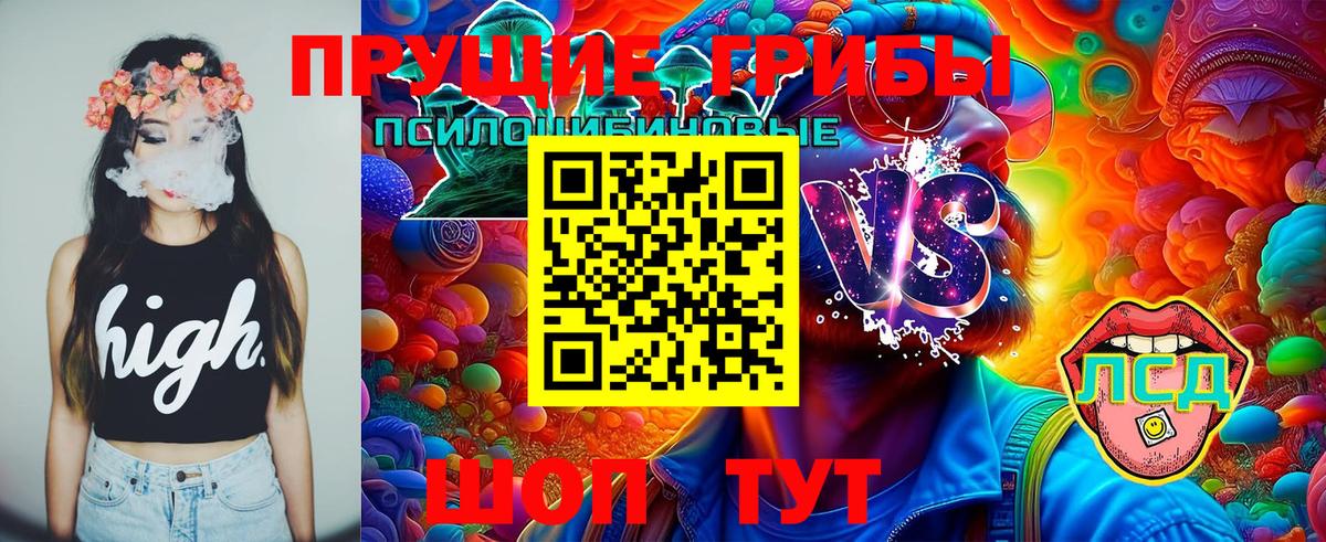 Галлюциногенные грибы Cubensis Тверь