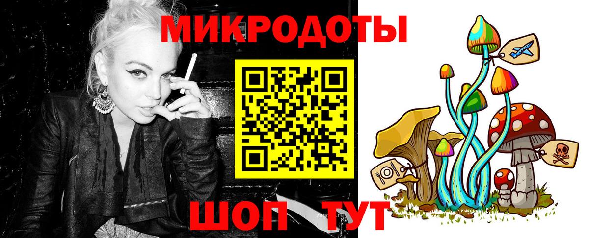 Тверь  Галлюциногенные грибы Cubensis  Вход с VPN 